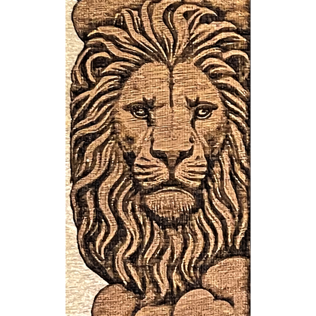 Lion showing 1000/20 laser depth