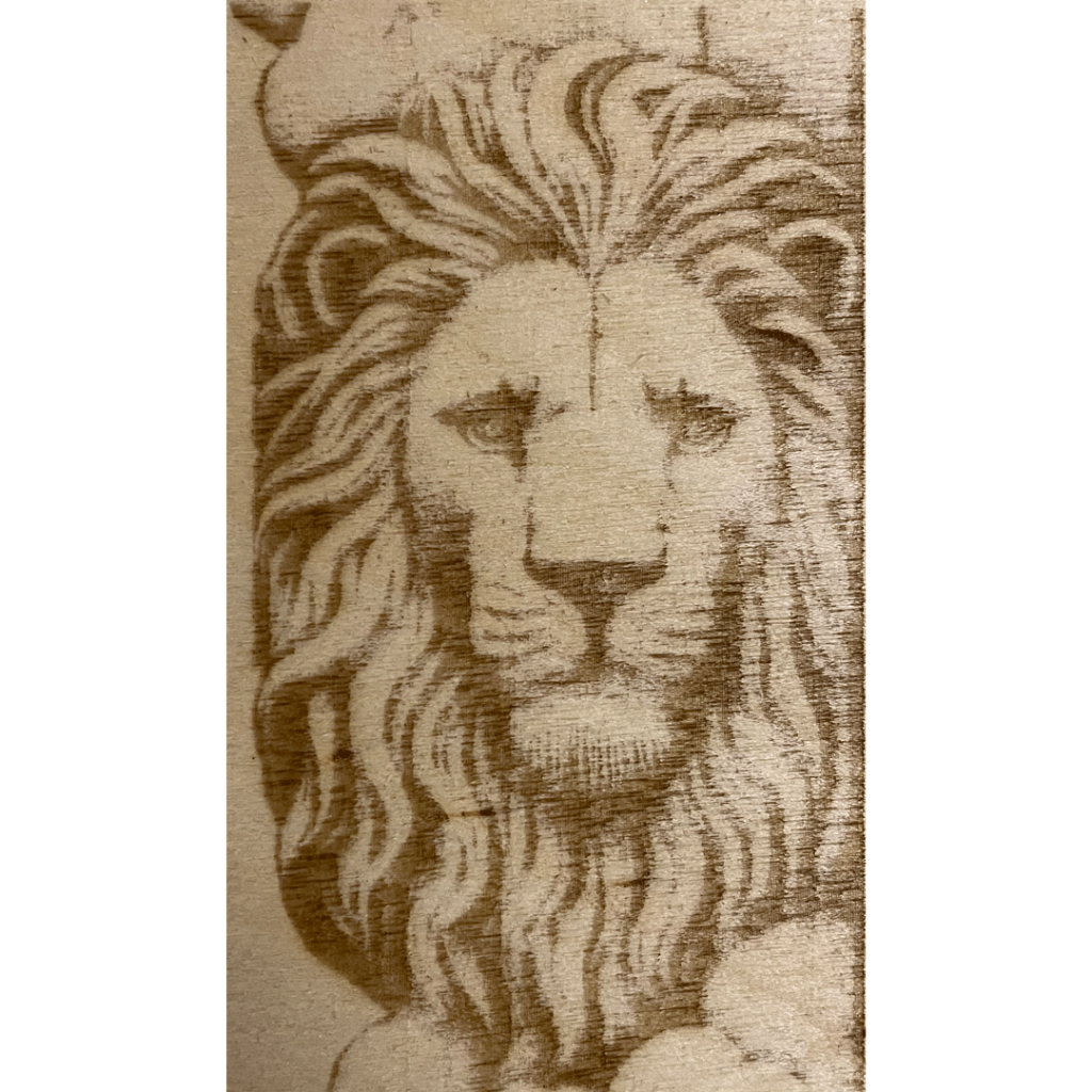Lion showing 6000/20 laser depth