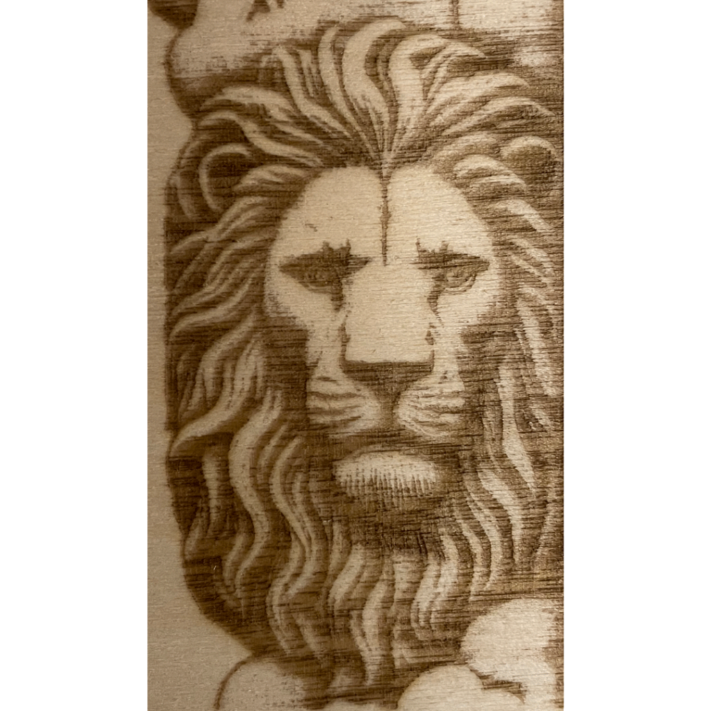 Lion showing 6000/25laser depth
