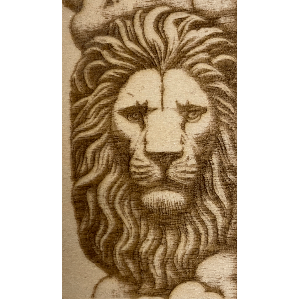 Lion showing 6000/30 laser depth