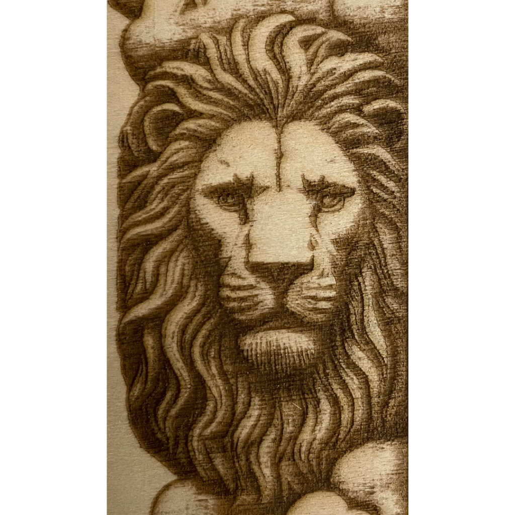 Lion showing 6000/35 laser depth