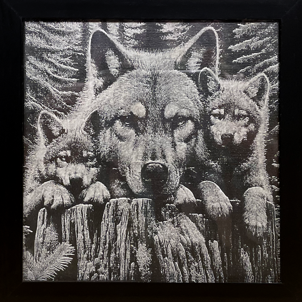 Beautiful image of a Wolf and her Cubs on White Canvas Painted Black and Lasered
