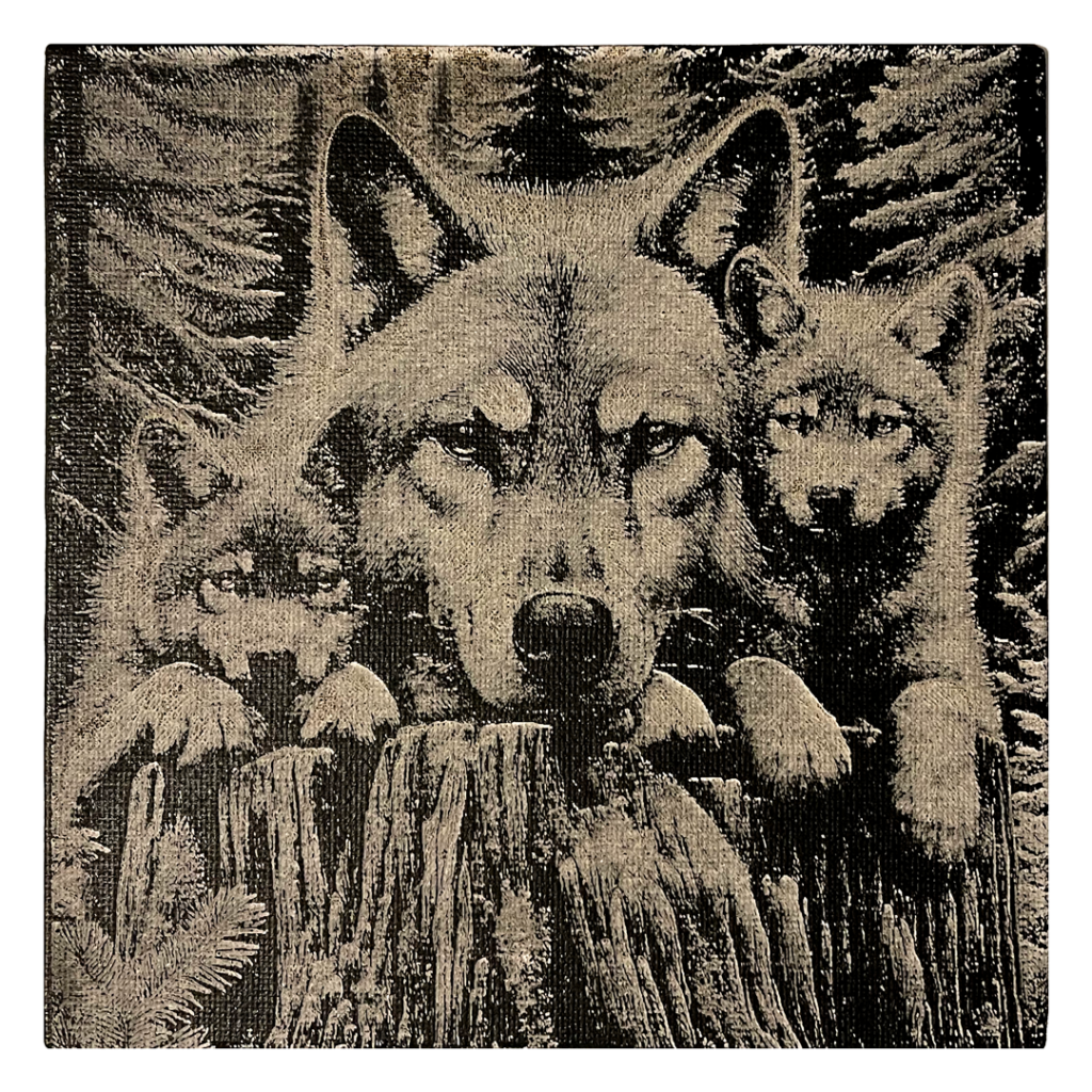 Beautiful image of a Wolf and Her Cubs on White Canvas Painted Black and Lasered
